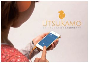 UTSUKAMO 判定のイメージ」