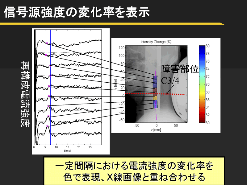 「神経や心臓からの磁場計測による新しい臨床医学診断法の研究」